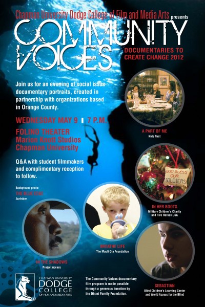 Community Voices 2012-poster
