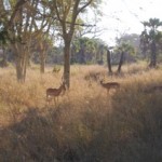Mozambique, Africa - Jason Armbruster 1