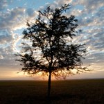 Mozambique, Africa - Jason Armbruster 6