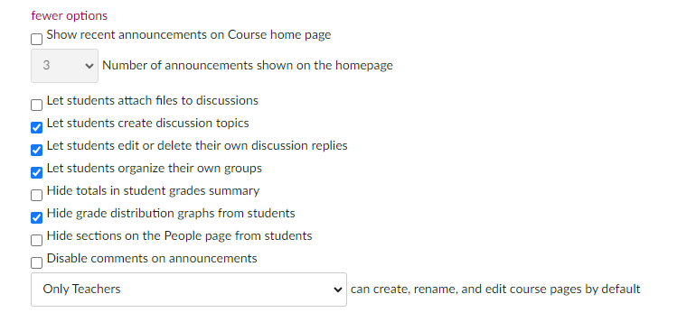 more options expanded in Canvas settings