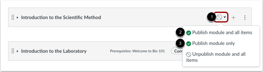 Publishing a module in Canvas