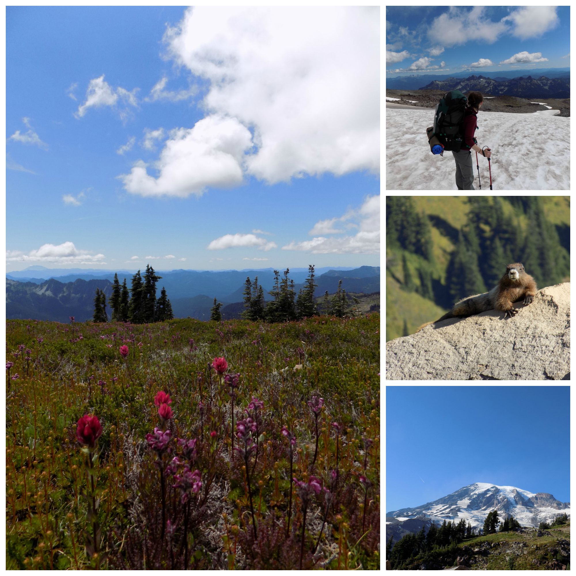 beener-danica-mt-rainer