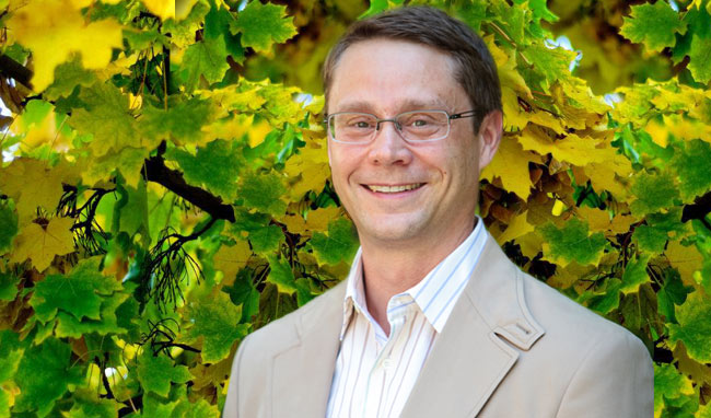 ESi Professor