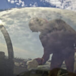 soldier cleaning jet window