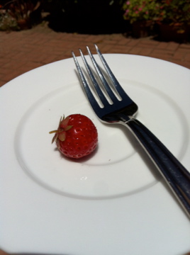 Dessert