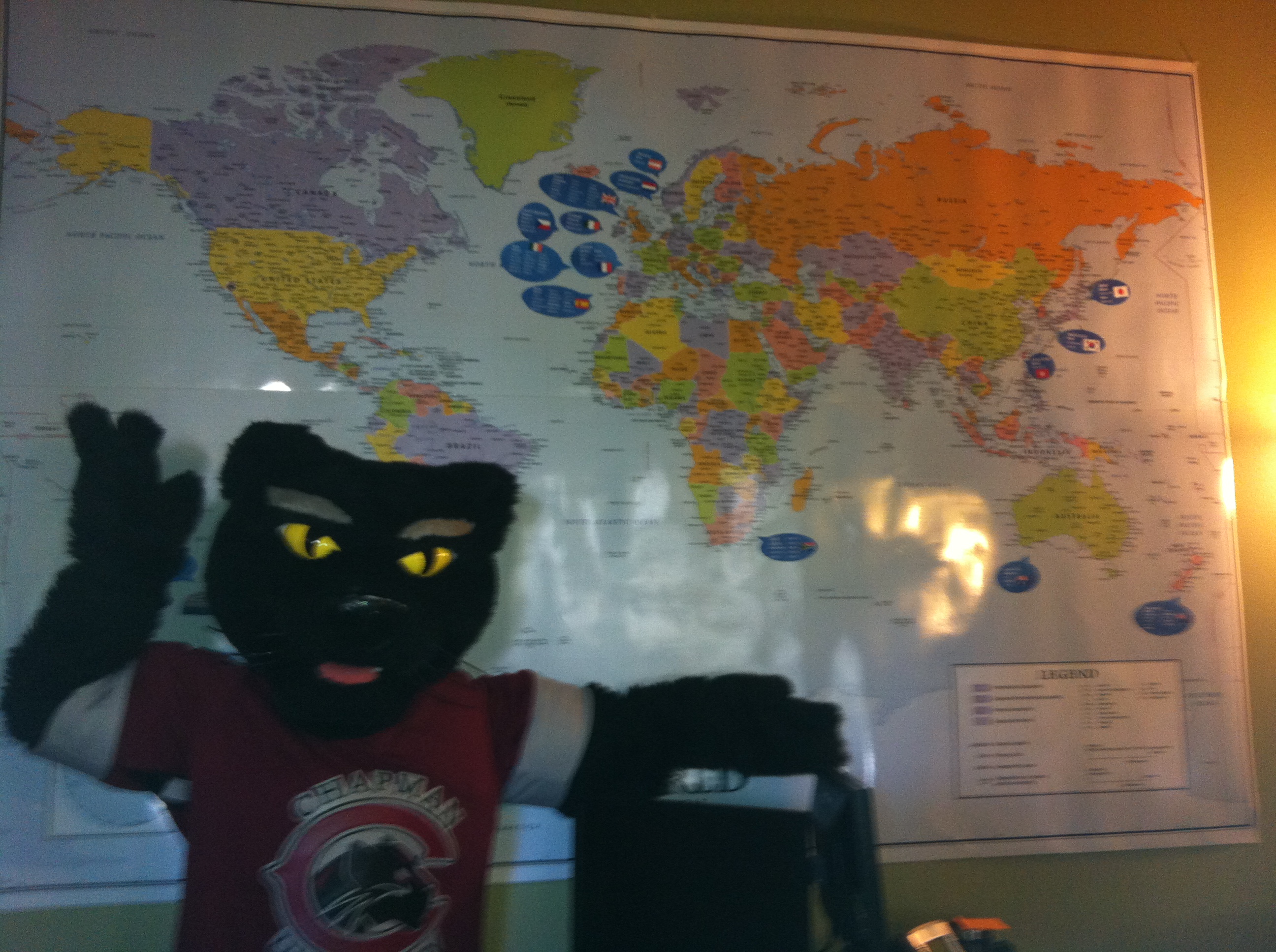 Panthers Abroad