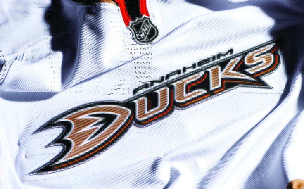 Duck's Hockey