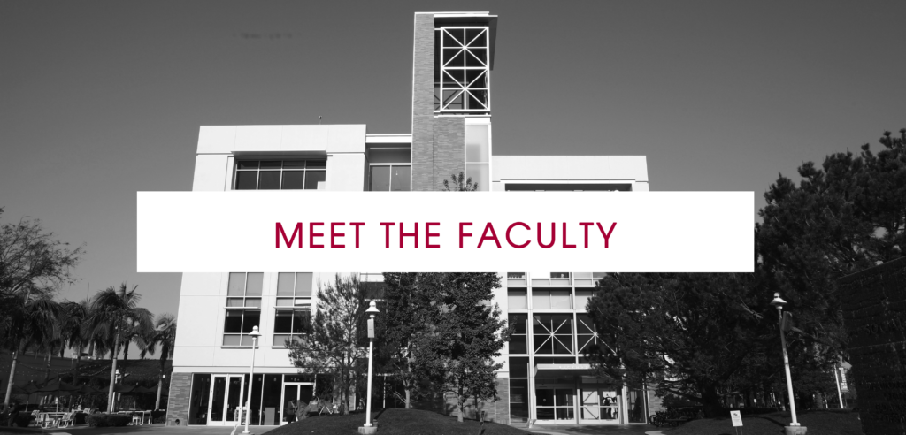Meet the faculty header