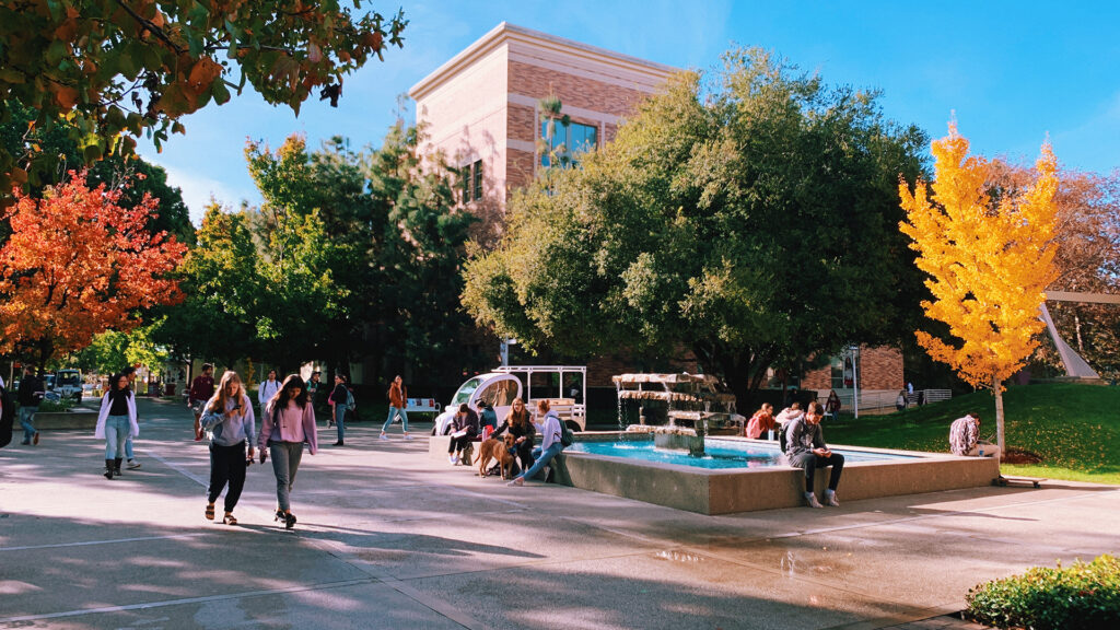 chapman-fountain