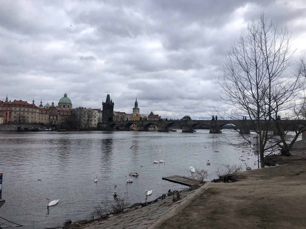 River bank in Prague