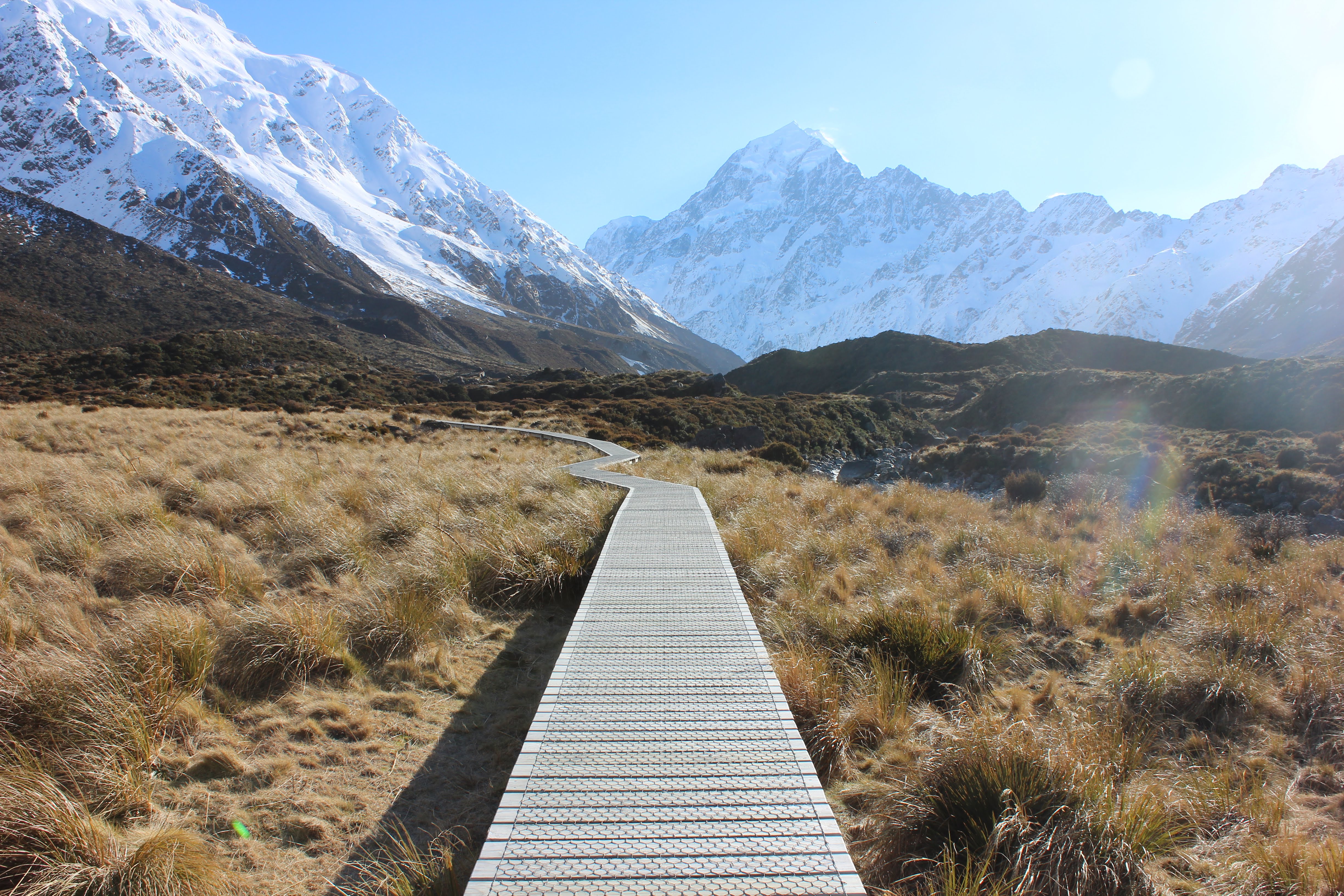 Pathway through New Zealand landscape