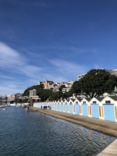 Light blue houses lined up along the coast with green trees behind them. All houses look the same.