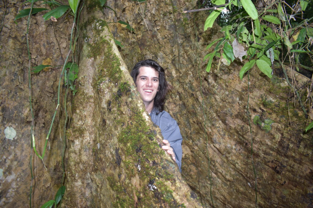 Student behind large tree trunk