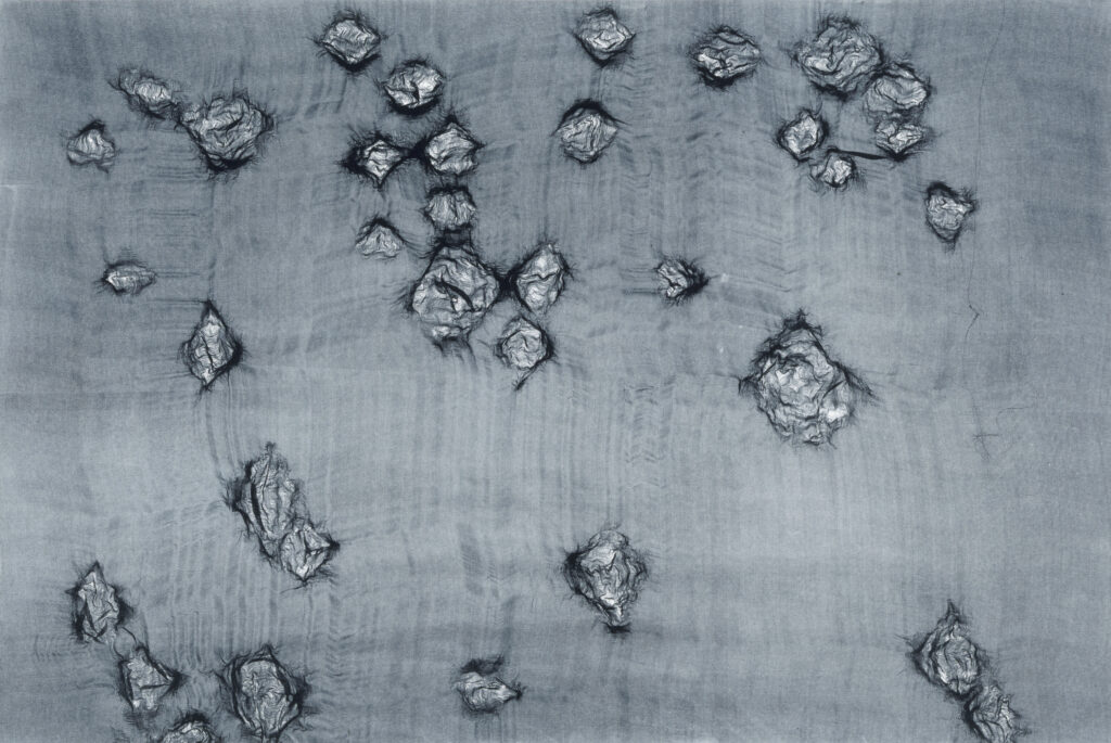 Warp and Weft II, by Ann Hamilton