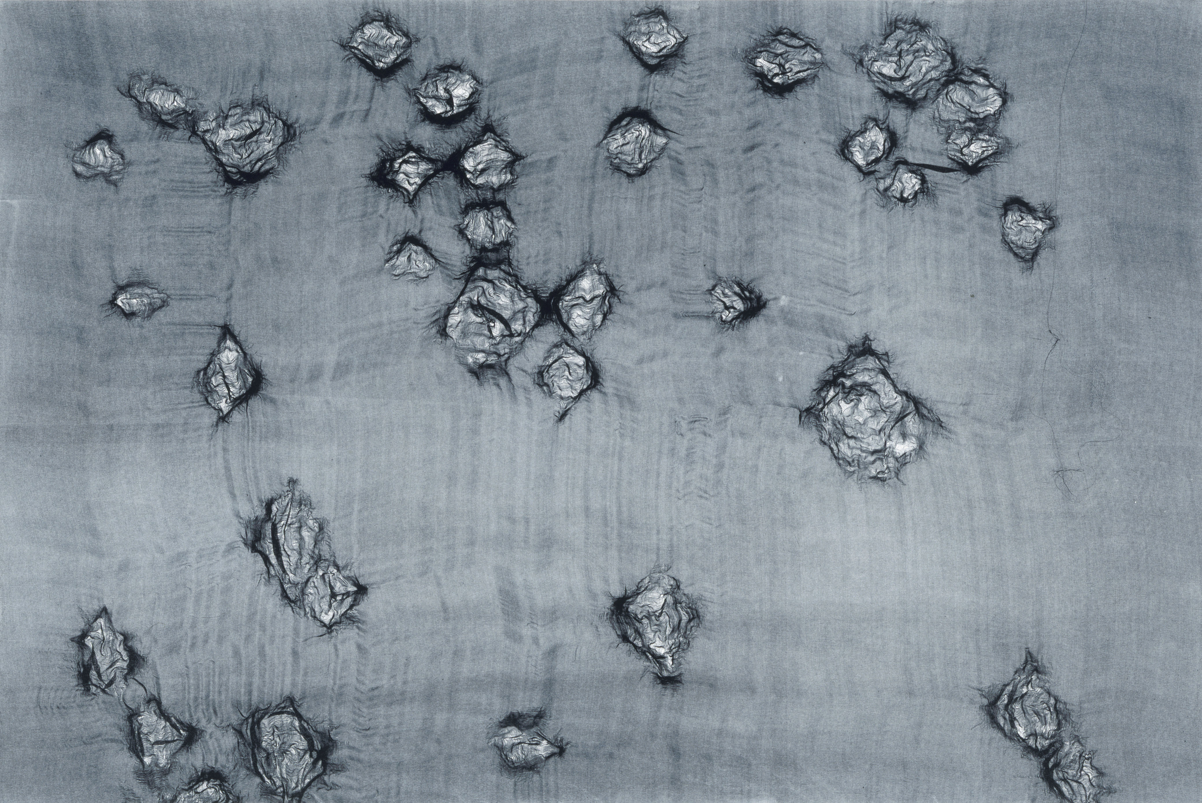 Warp and Weft II, by Ann Hamilton