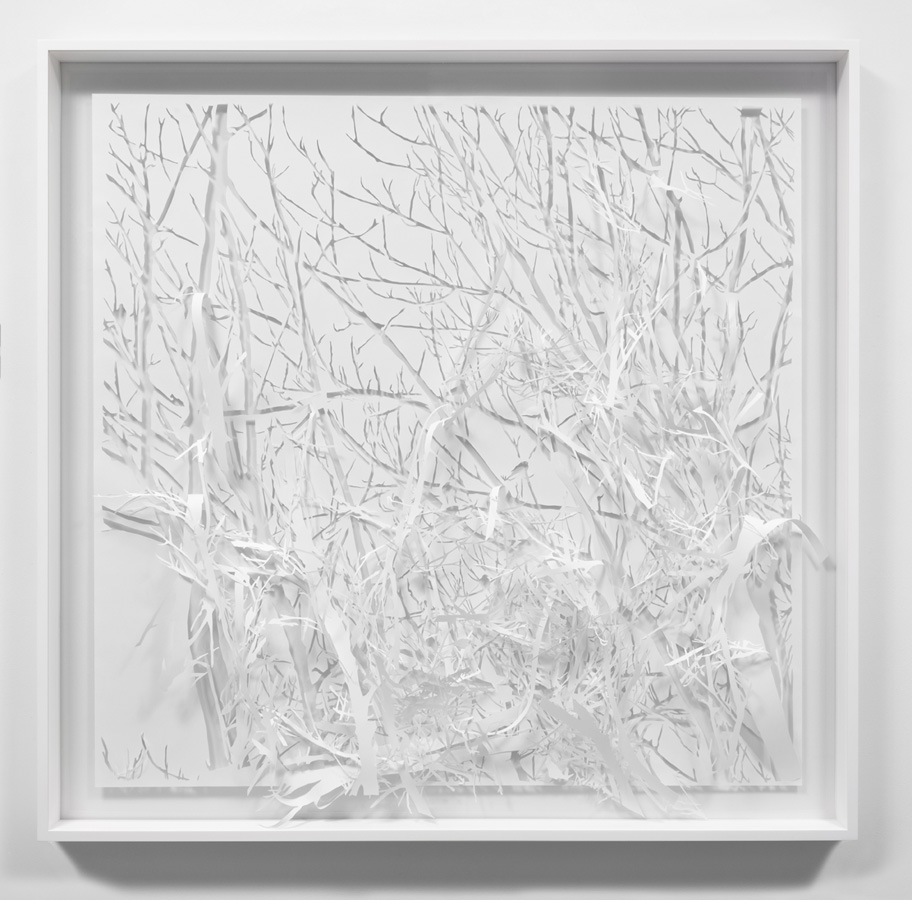 That was because this year will of course go on, by Soo Kim