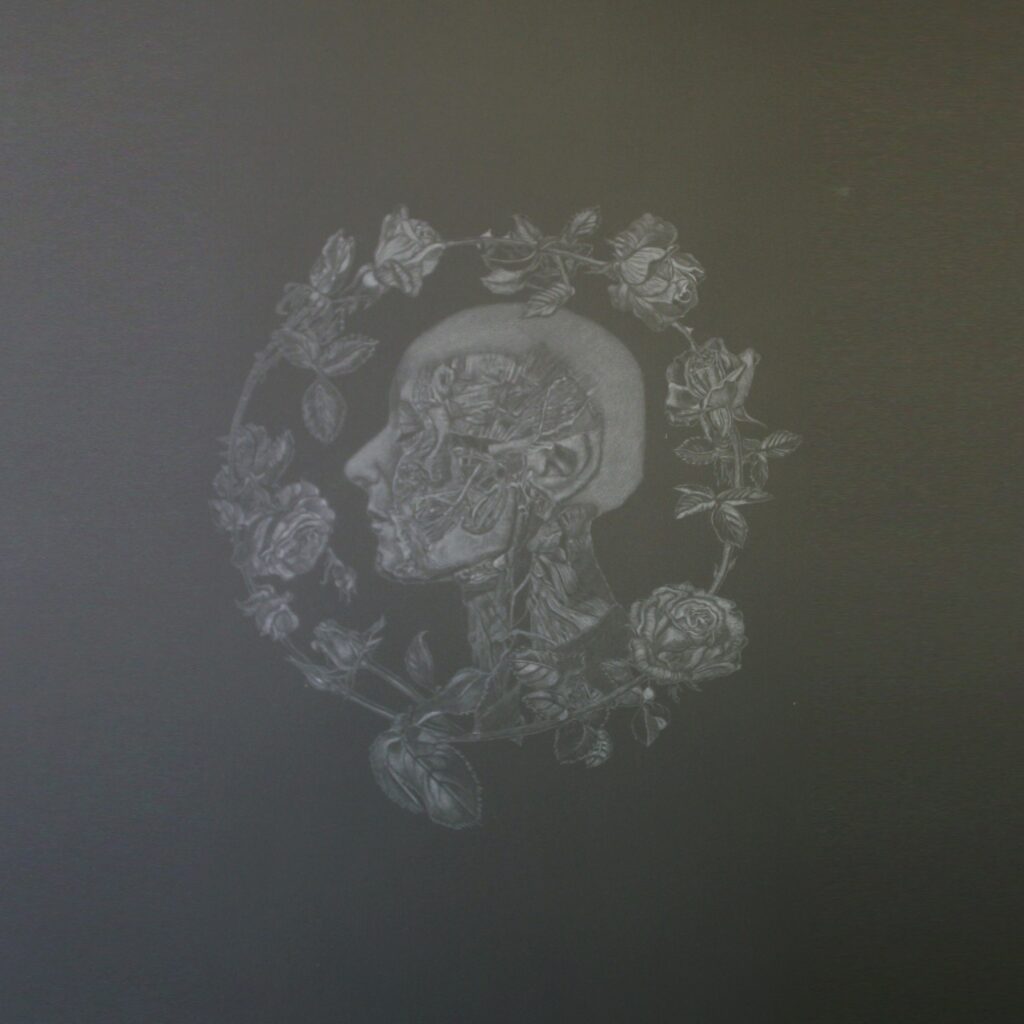 Study for Briar Rose by Carol Caroompas