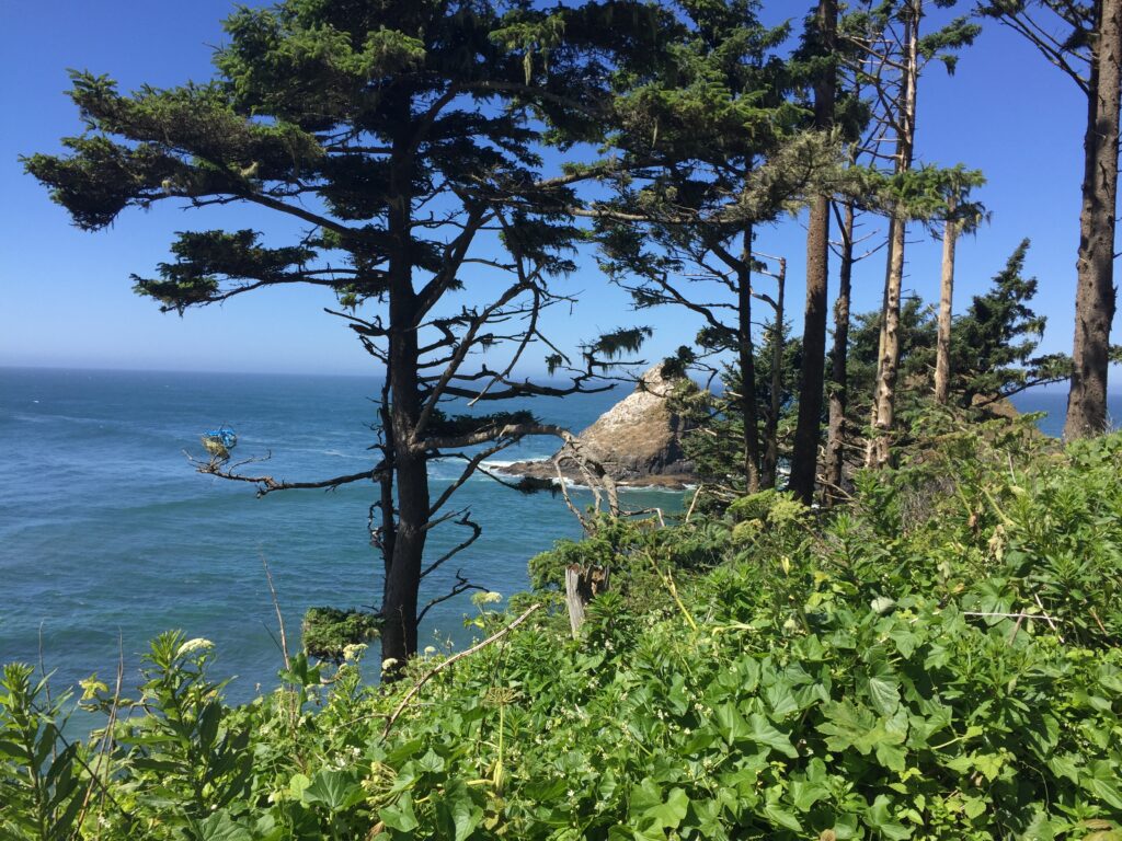 View of Oregon Coast from trail up to Heceta Head Lighthouse.