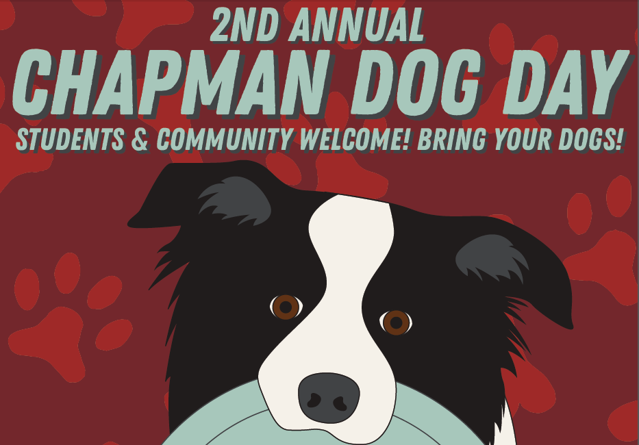 SGA-UPB dog day