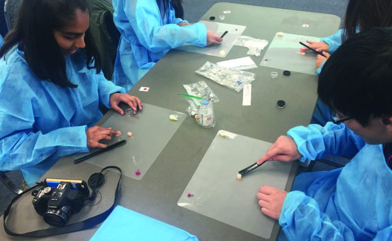 Students took part in hands-on activities that helped them understand some of a pharmacist’s tasks.