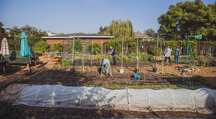 Education farm
