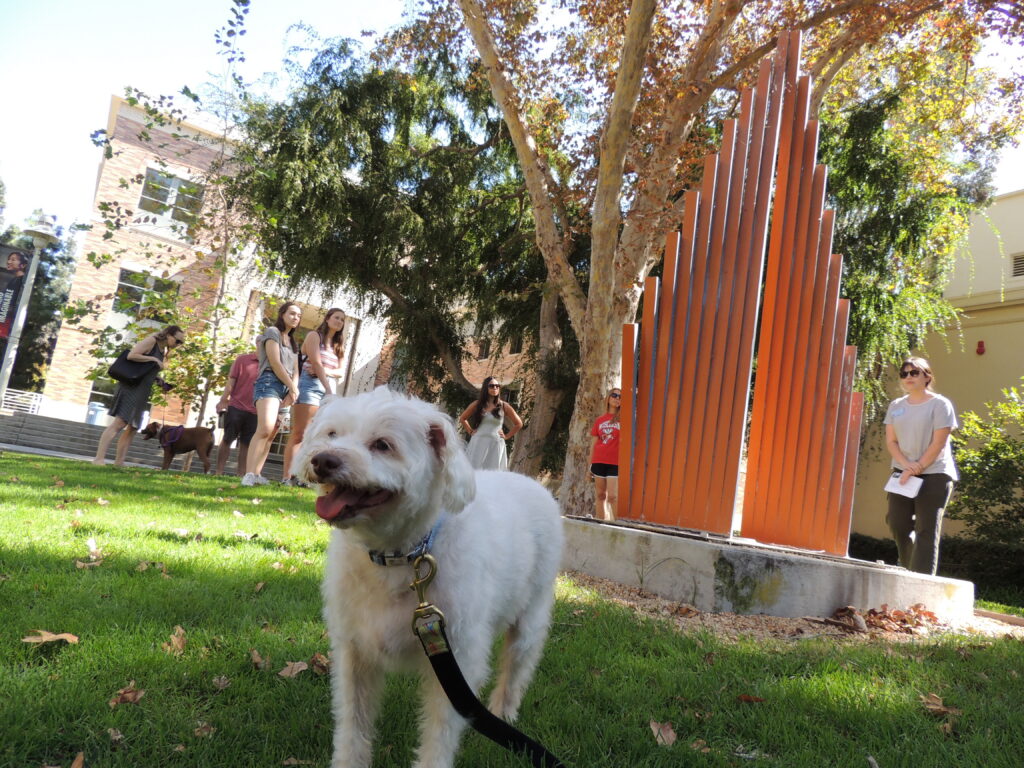 Dog with sculpture