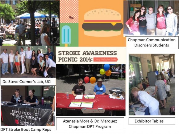 Stroke Awareness Picnic collage