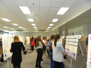 Student boards at Research Day