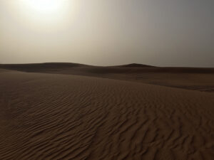 The desert