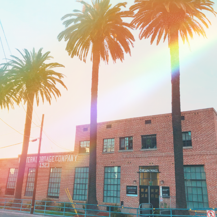 Crean Hall with Rainbow and Palm Trees