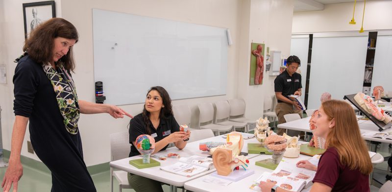 Alison Teaching