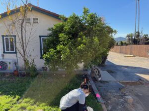 Mia Gabriel Wildfire research in the field