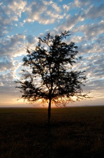 Destination Africa Documentary Program