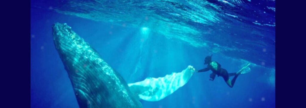 Documentary Student Film "Still" Featured in Atlantic Magazine