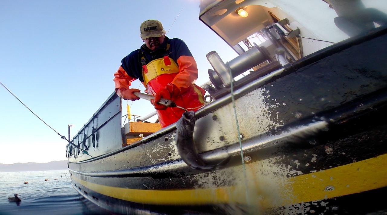 Captain Jim Ponts aboard the FV Ticon photo ©2014 TrimTab Media