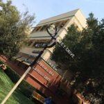 Walt Disney Studios