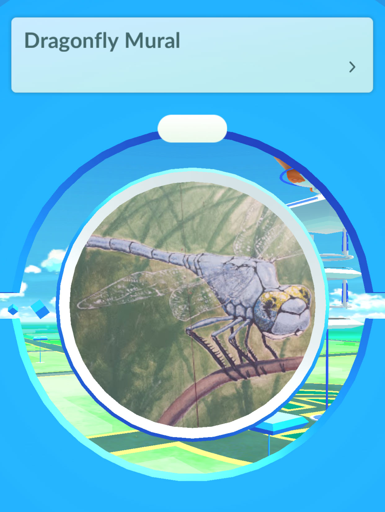 dodge pokemon
