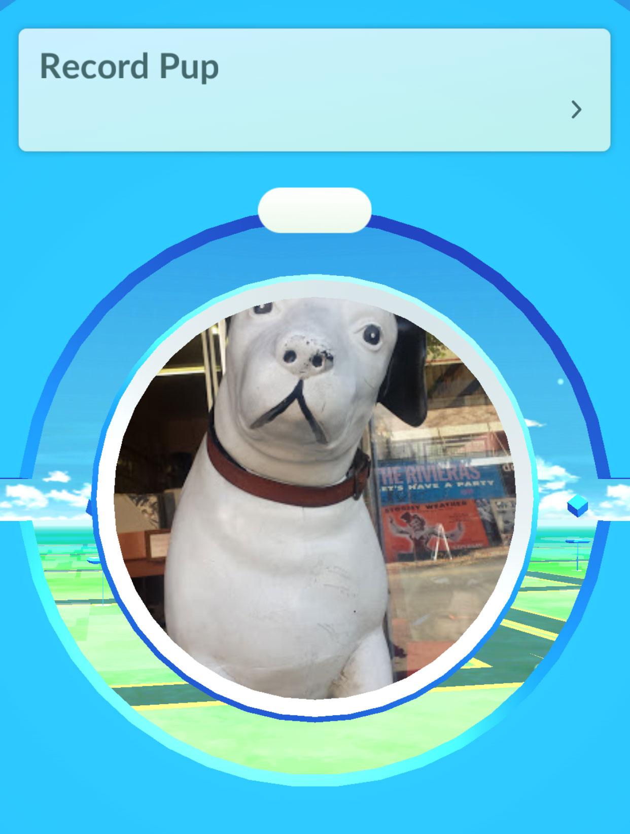 dodge pokemon
