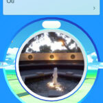 dodge pokemon