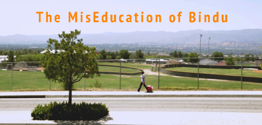 MisEducation of Bindu