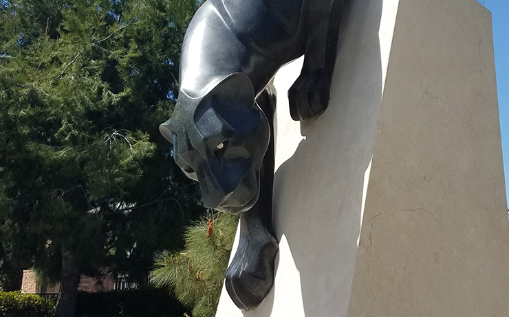 Chapman Panther