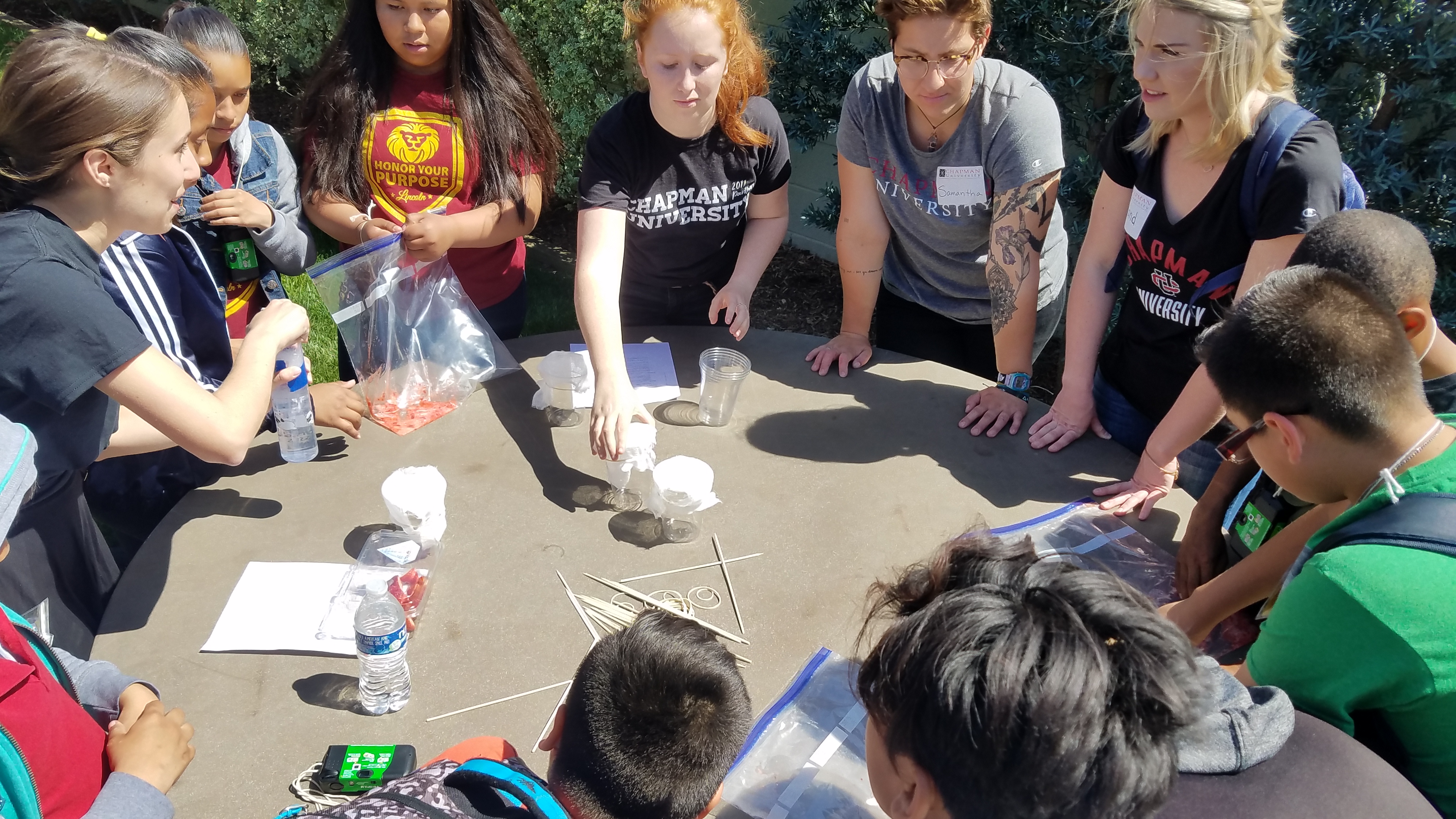strawberry DNA extraction led by the Women in Science and Technology (WIST)