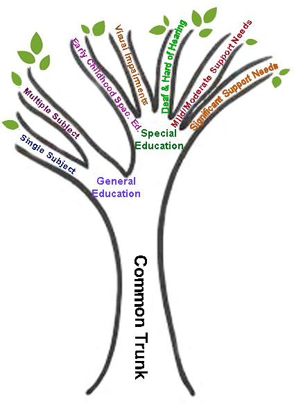 Common Trunk of Teacher Education