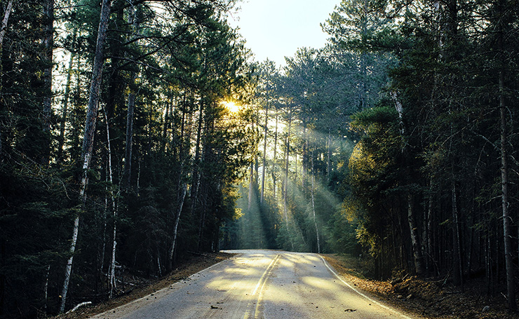 Sunny road
