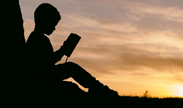 Child reading in a field at sunset silhouette
