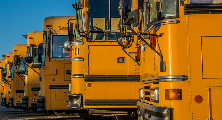 Yellow school buses lines up