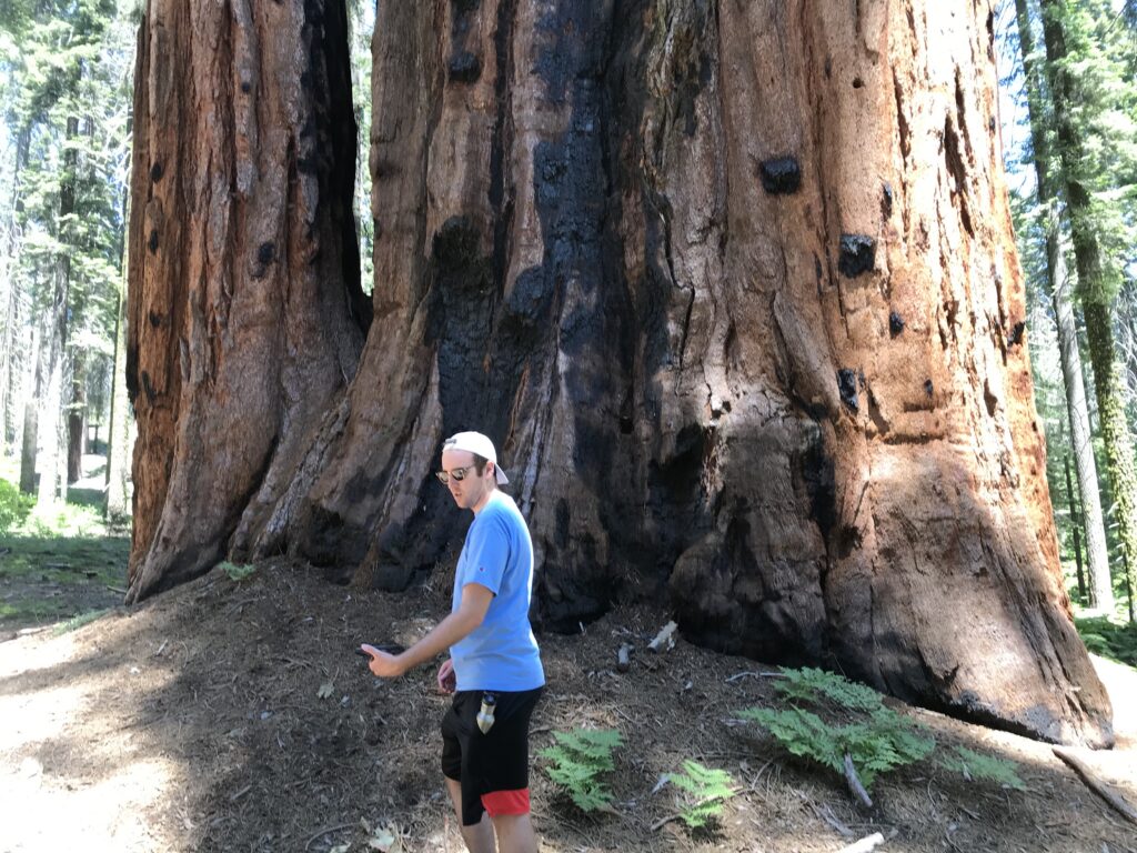 young man in front of large tree