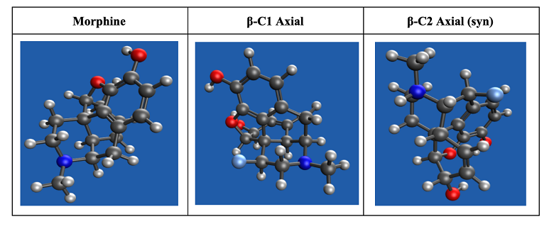 morphine molecules