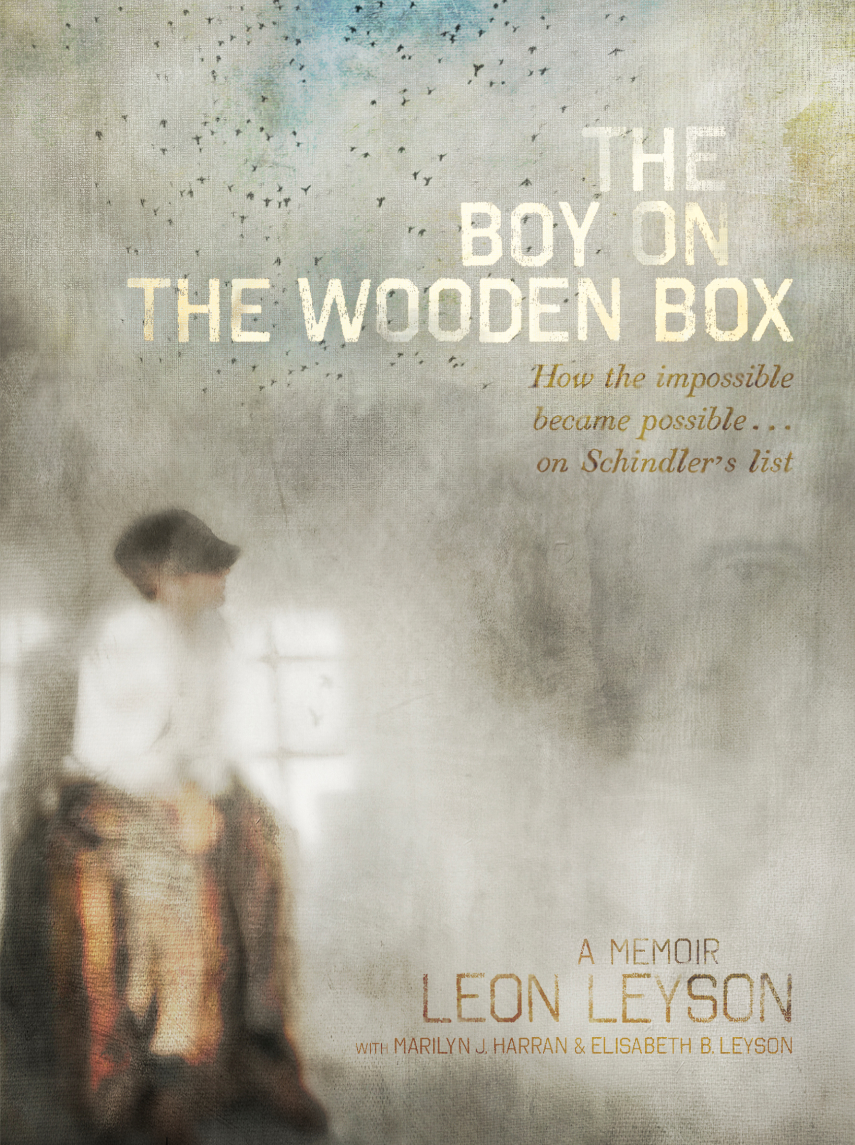 Boy book cover