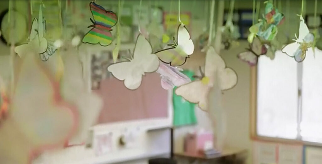 butterflies decoration